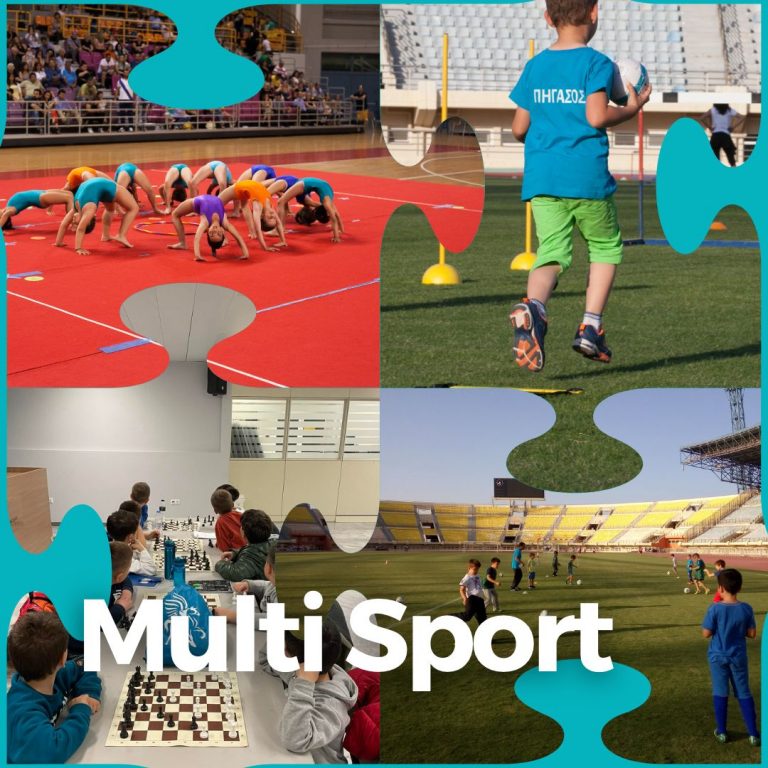 MultiSport